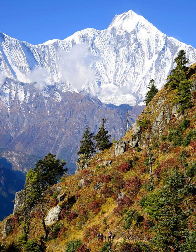 Annapurna Circuit Special (restricted area included)