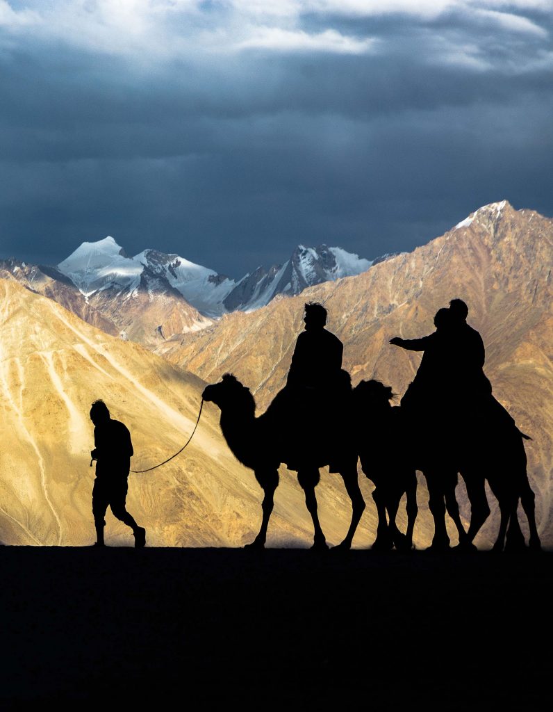 Family Adventure Ladakh- Summertime special